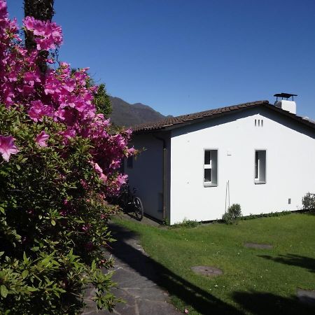Residenza Paradiso Di Vacanze Minusio Exteriér fotografie