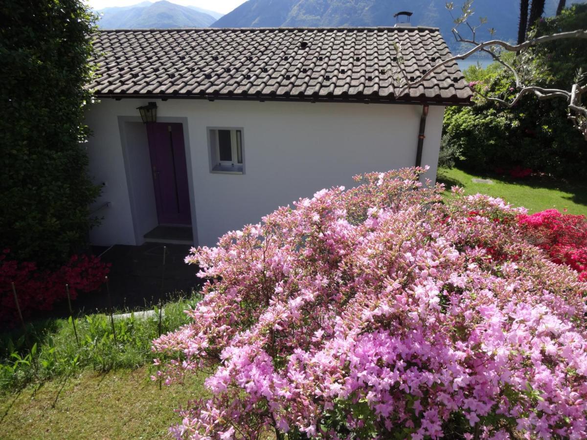 Residenza Paradiso Di Vacanze Minusio Exteriér fotografie