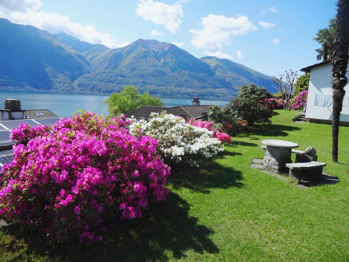Residenza Paradiso Di Vacanze Minusio Exteriér fotografie